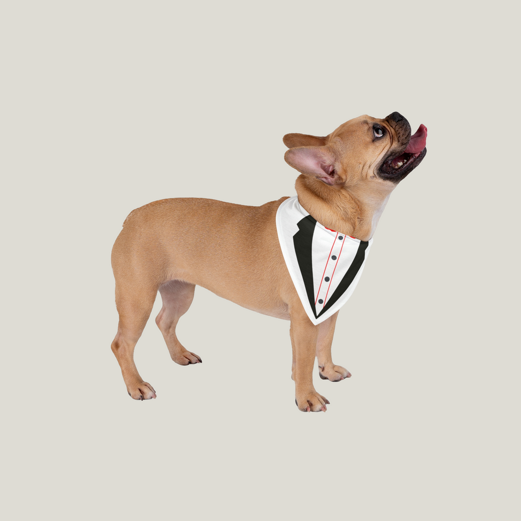 Tuxedo Dog Bandana